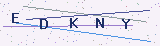 CAPTCHA Anti-Bot